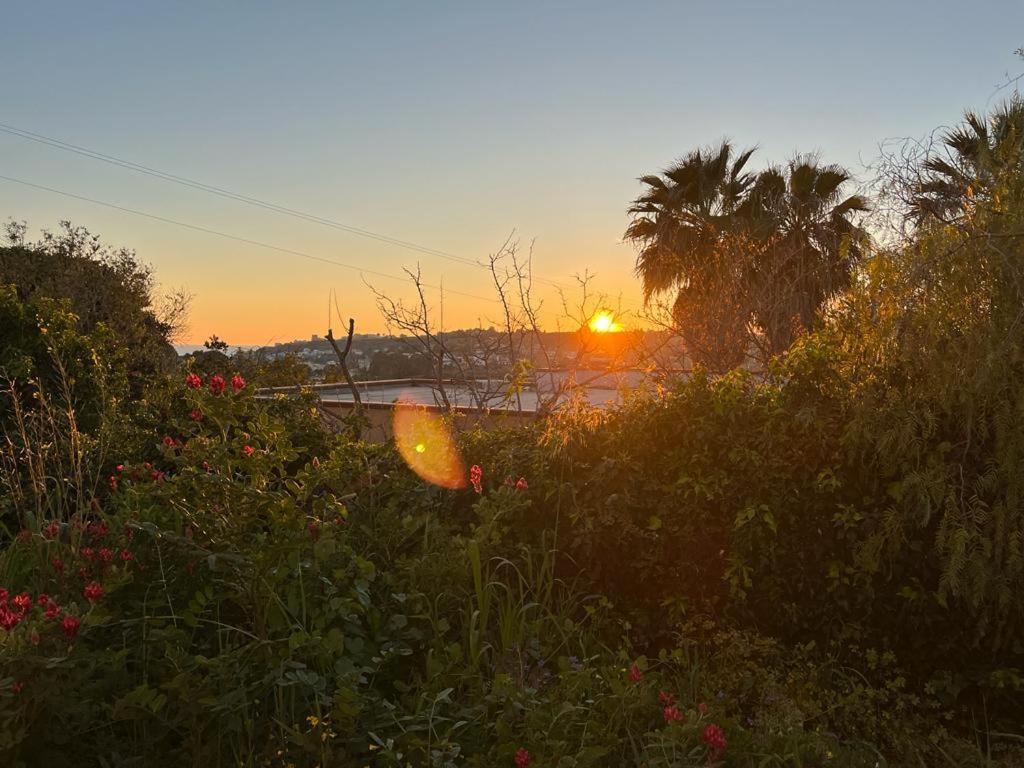 Casa Porto Palo Βίλα Εξωτερικό φωτογραφία